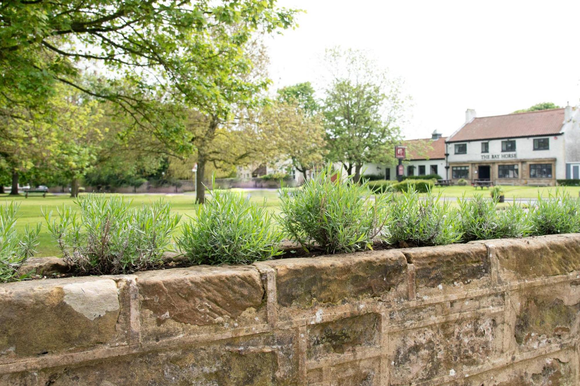 Work And Relax - Fast Wifi, Fireplace & Near Pub Newton Aycliffe Luaran gambar